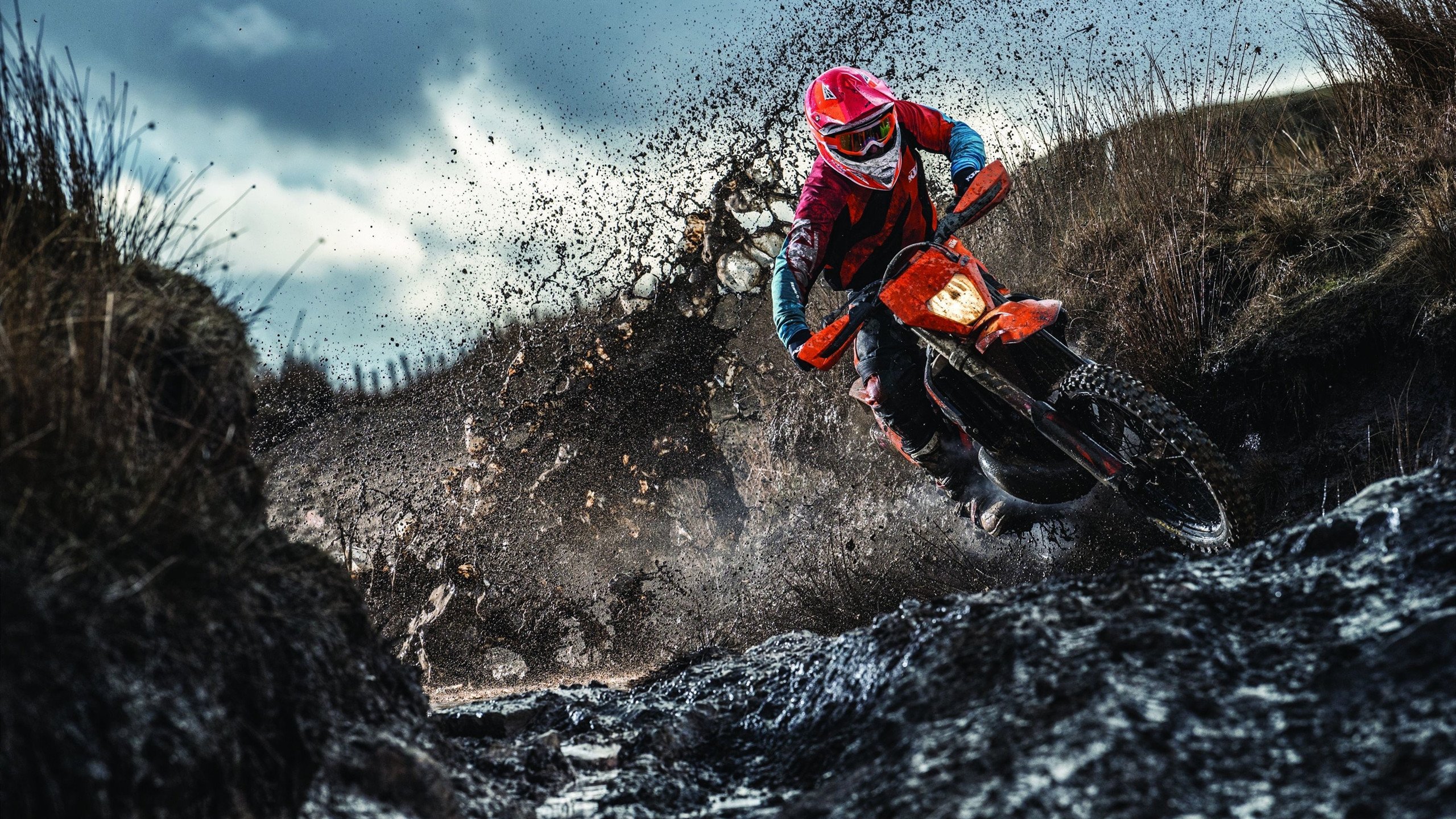 女排国手走进校园，与学子互动传承拼搏精神，女排前国手